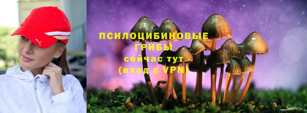 спиды Армянск