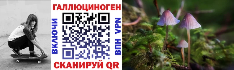 Галлюциногенные грибы Cubensis  дарнет шоп  Почеп 